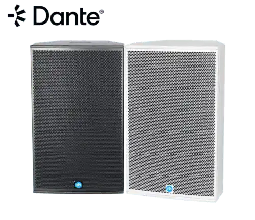 Renkus-Heinz TX112S 12" Subwoofer, non-powered Speakers Renkus-Heinz