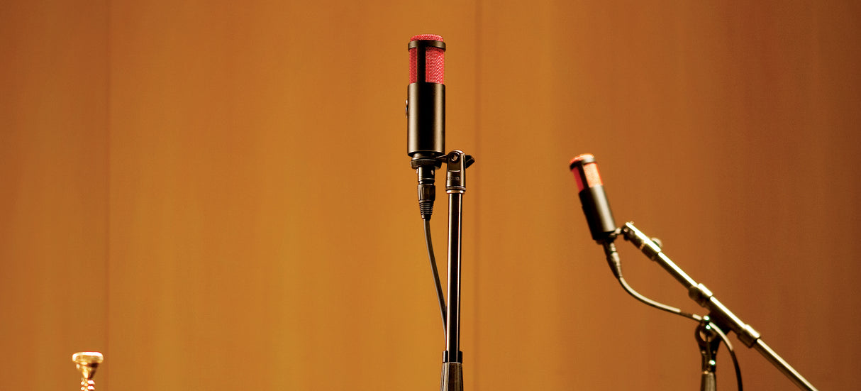 Shure KSM313/NE Dual-Voice Ribbon Microphone with Roswellite™ Ribbon Technology Microphones Shure