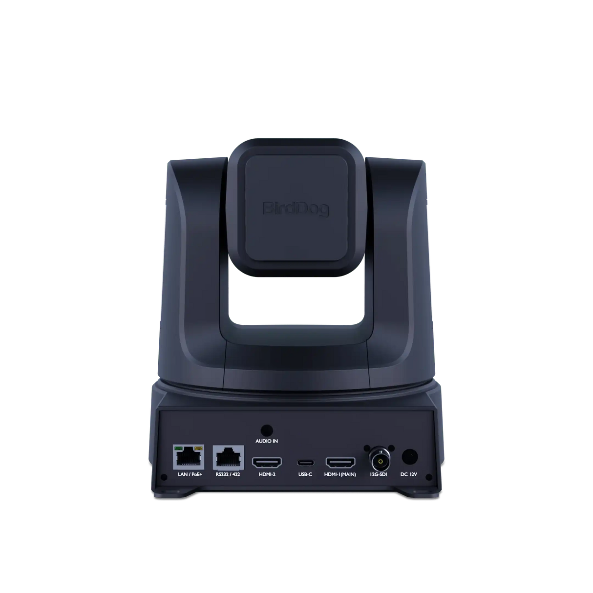 Birddog BDX5UB X5 Ultra Black Production BirdDog