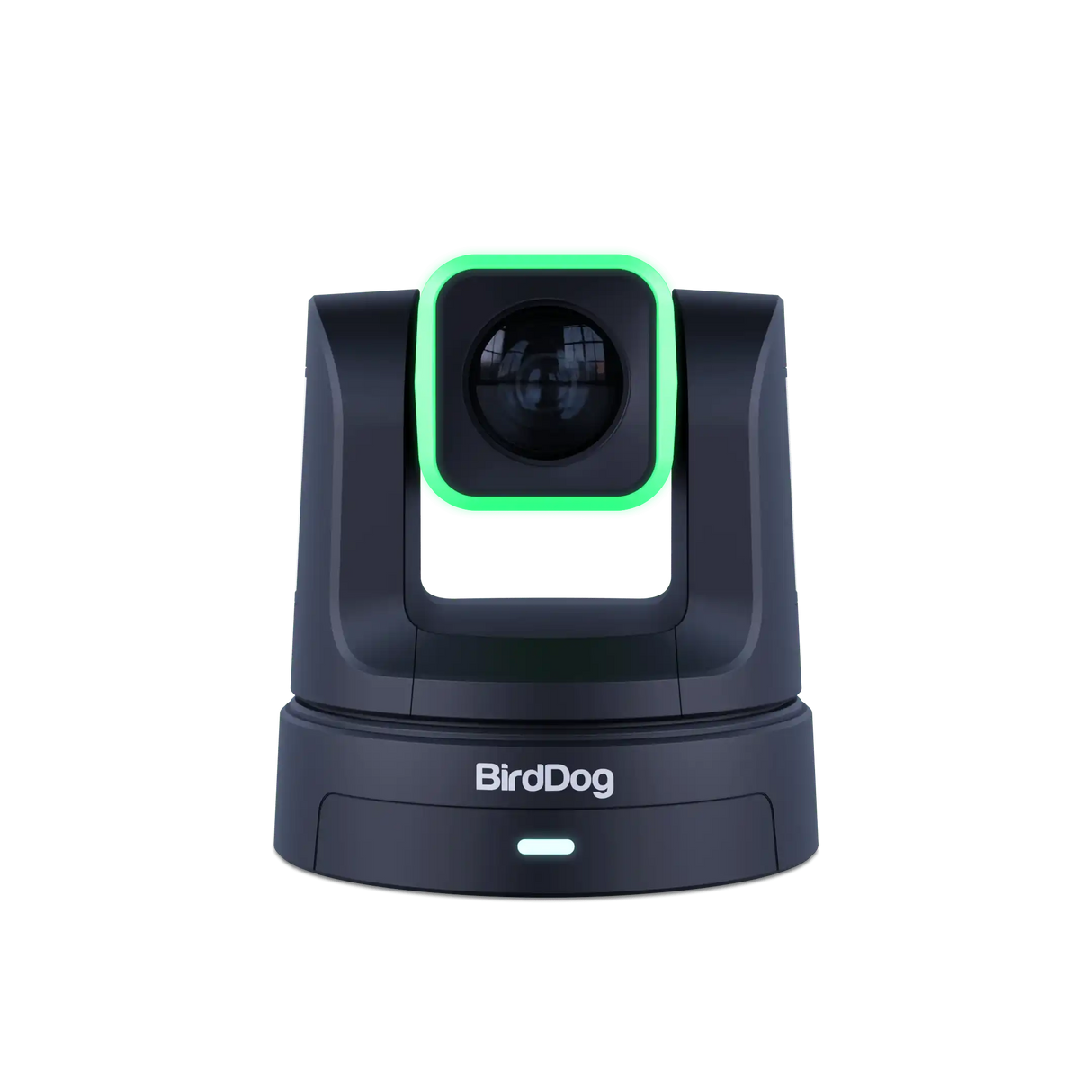 Birddog BDX5UB X5 Ultra Black Production BirdDog