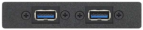 Extron AAP 2USBAF2USBBF10 - Architectural Adapter Plate with Dual USB-A Female and Dual USB-B Female Black Audio & Video Cables Extron