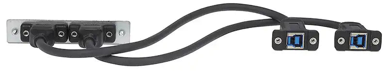 Extron AAP 2USBAF2USBBF10 - Architectural Adapter Plate with Dual USB-A Female and Dual USB-B Female Black Audio & Video Cables Extron