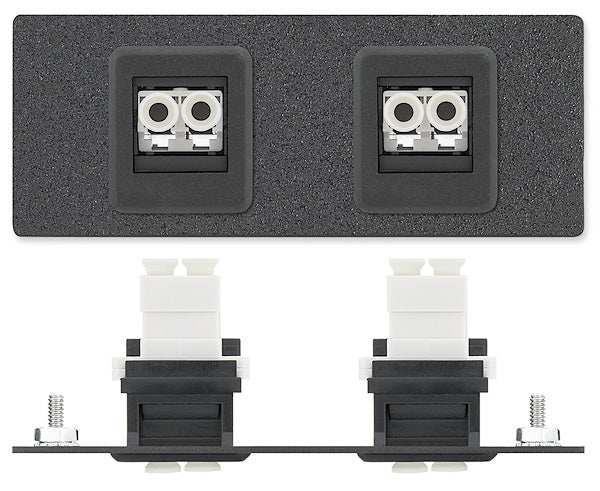Extron AAP 2FDL-CFF - Architectural Adapter Plate with Dual Feed-Through and Latching Connectors Audio & Video Cables Extron
