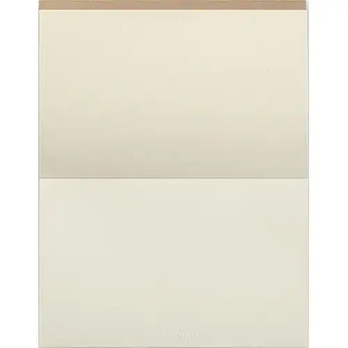 ViewSonic PEO-021-CWW Replacement Writing Pads for ID0730 ViewBoard Notepad - 5-Pack Brown Wood-Free Notebooks, 50 Pages Each, 164x103mm ViewSonic