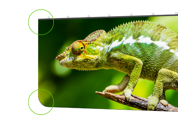 Planar Chameleon 1.2 Double-Sided LED Display