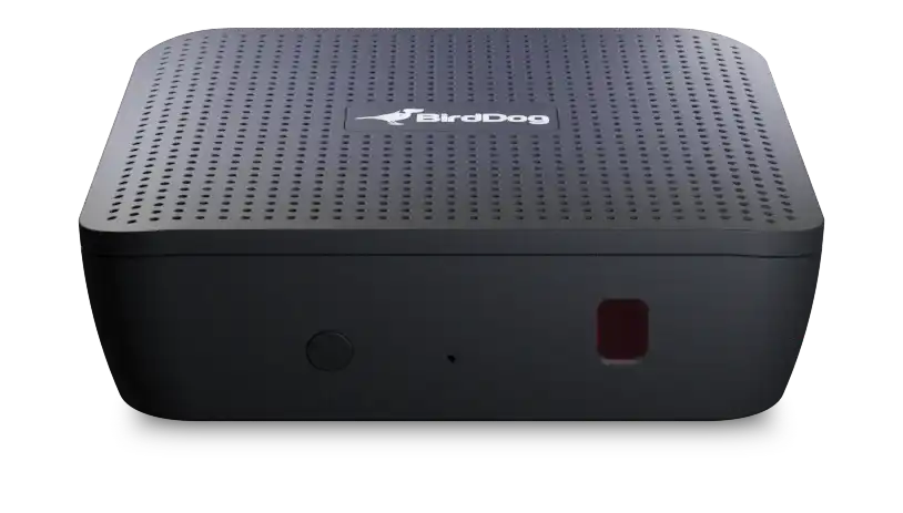 BirdDog Play HDMI2.0, 4K NDI and NDI HX2 Decoder Production BirdDog