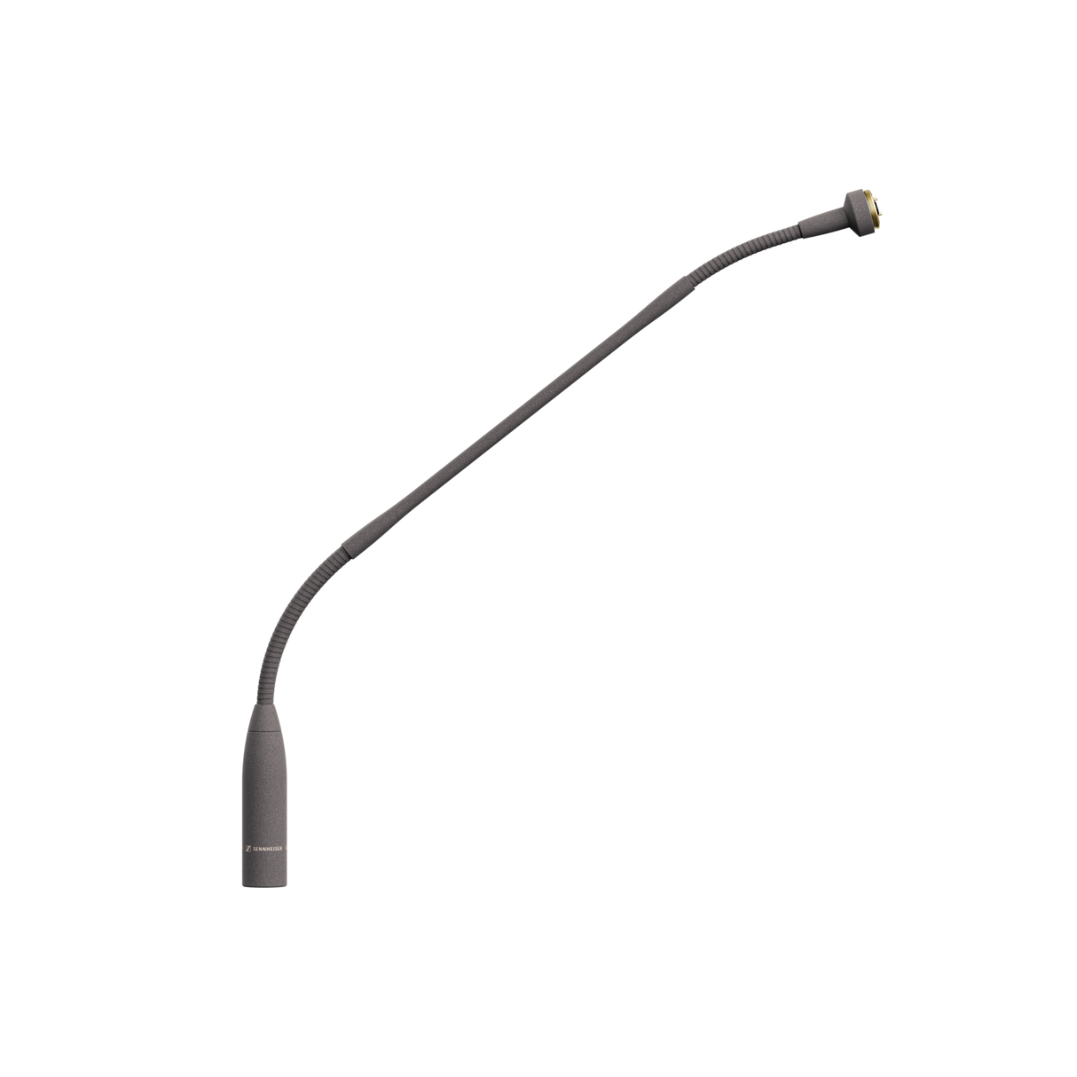 Sennheiser MZH 8042 gooseneck