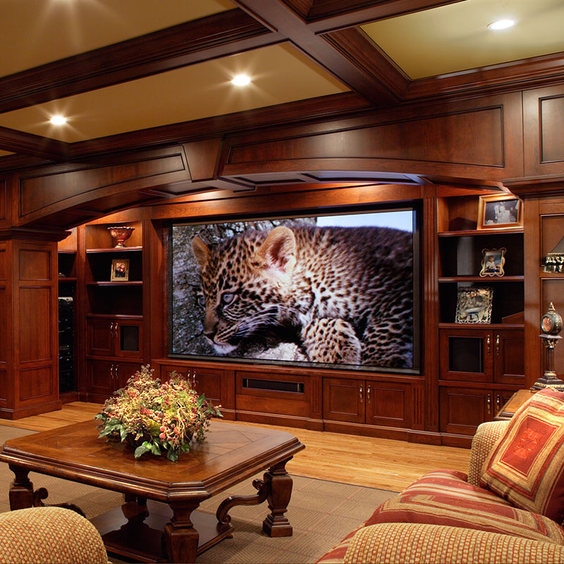 Draper Access E, 110", HDTV Motorized Projection Screen