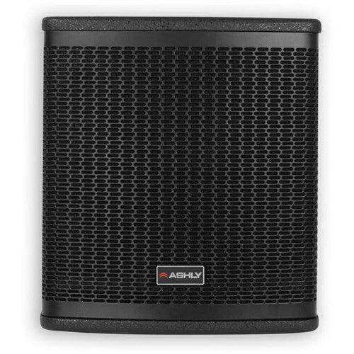 ASHLY SP8.1P 8" Extended Dynamics Passive Flyable or Floor Standing Subwoofer (Black) Speakers Ashly