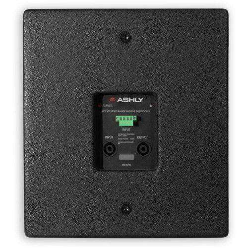 ASHLY SP8.1P 8" Extended Dynamics Passive Flyable or Floor Standing Subwoofer (Black) Speakers Ashly