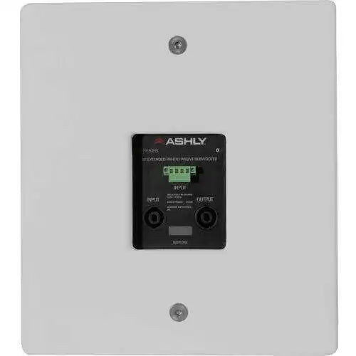 ASHLY SP8.1PW 8" Extended Dynamics Passive Flyable or Floor Standing Subwoofer (White) Speakers Ashly