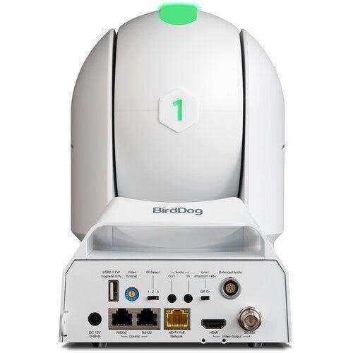 BirdDog P240 40X Full NDI PTZ 3-Camera Bundle (White) - BDP240BUNDLE-WWW Production BirdDog