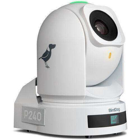 BirdDog P240 40X Full NDI PTZ 3-Camera Bundle (White) - BDP240BUNDLE-WWW Production BirdDog