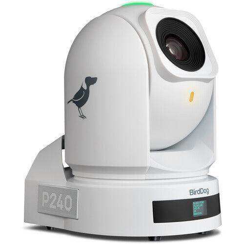 BirdDog P240 40X Full NDI PTZ Camera Bundle (2 x Black, 1 x White) - BDP240BUNDLE-WBB Production BirdDog