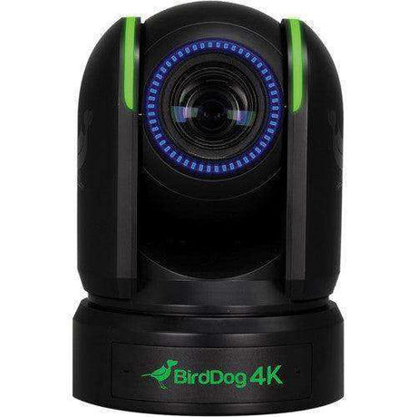 BirdDog P4K 4K Full NDI PTZ 3-Camera Kit (Black) - BDP4KBUNDLE-BBB Production BirdDog