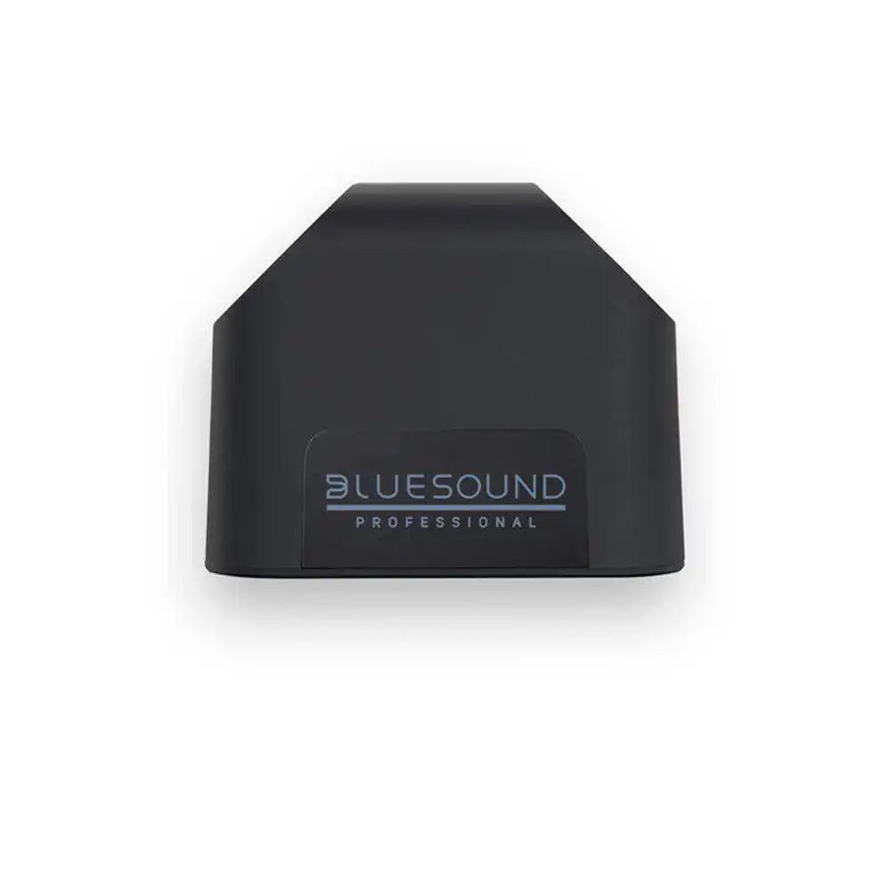 Bluesound BSP125-B Compact Network Streaming Speaker (Black) Speakers Bluesound Professional
