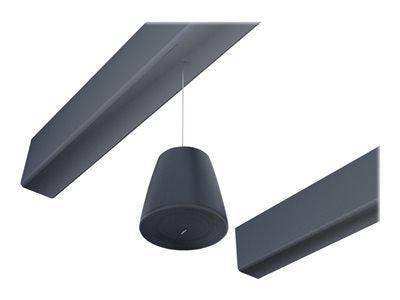 Bose DesignMax DM10P-SUB - subwoofer - for PA system - Black Audio Conferencing Bose