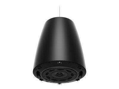 Bose Professional Designmax DM6PE 125W 6.5" Coaxial Speaker (Pair, Black) Audio Conferencing Bose