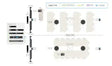 Q-SYS Zoom Room Meeting Space Solution: Divisible Room Video Conferencing QSC
