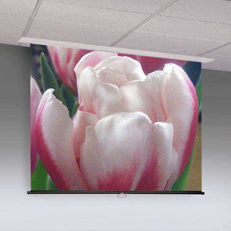 Draper Access M, 12' x 12', AV, Contrast Grey XH800E - 197012EC Projection Screens Draper