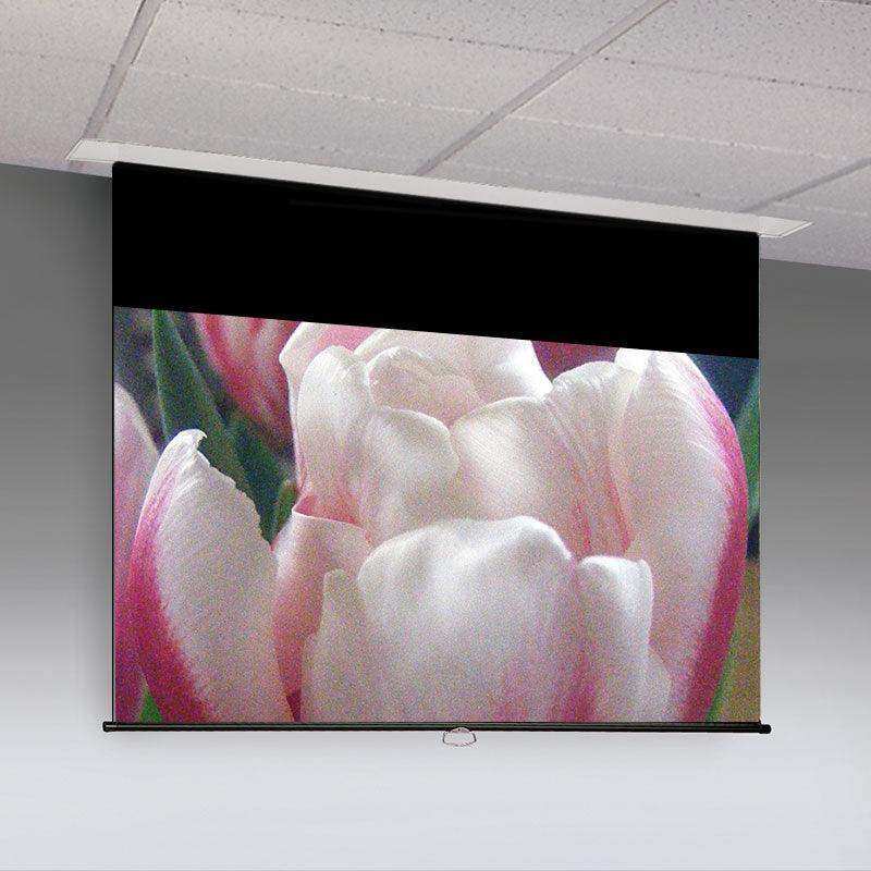 Draper Access V, 137", 16:10, Matt White XT1000VB, 110 V, with Quiet Motor & LVC-IV Low Voltage Controller - 140039QU Projection Screens Draper