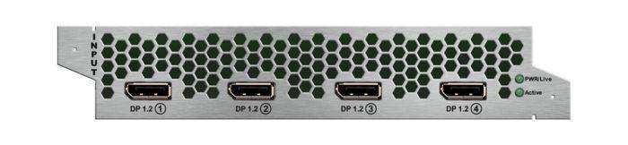 Lightware MX2M-DH-4DP12-IB DisplayPort 1.2 Input Board - 91120049 Video Transmitters LightWare