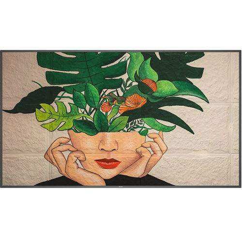 Philips 75BDL4511D/27 75"UHD 3840x2160 Commercial 24/7 TAA Compliant Display Displays Philips