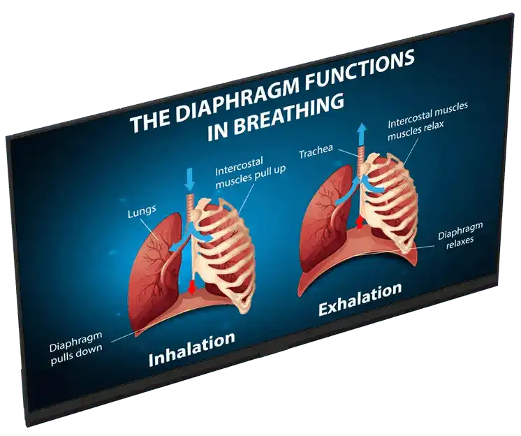 Planar UltraRes L Series LED Module, URL136 - 926-0522-00 Planar