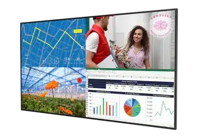 Planar URP49 UltraRes P Series 49in diagonal, UHD, E-LED backlight, 500 nit brightness - 998-2887-00 Displays Planar