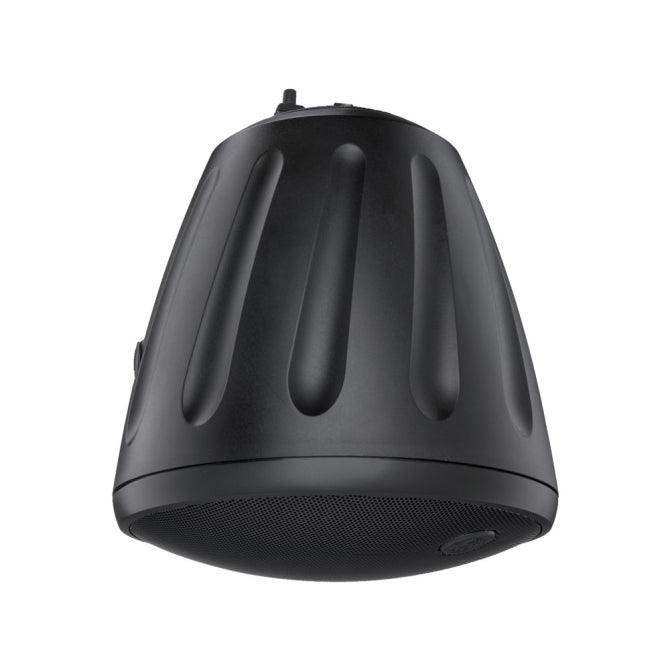 Soundtube RS1001I-II-T 10" Hanging Speaker with Transformer Speakers Soundtube