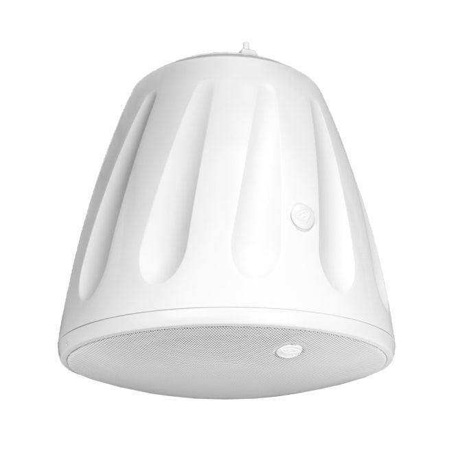 Soundtube RS1201I 12" SuperT Pendant subwoofer Speakers Soundtube