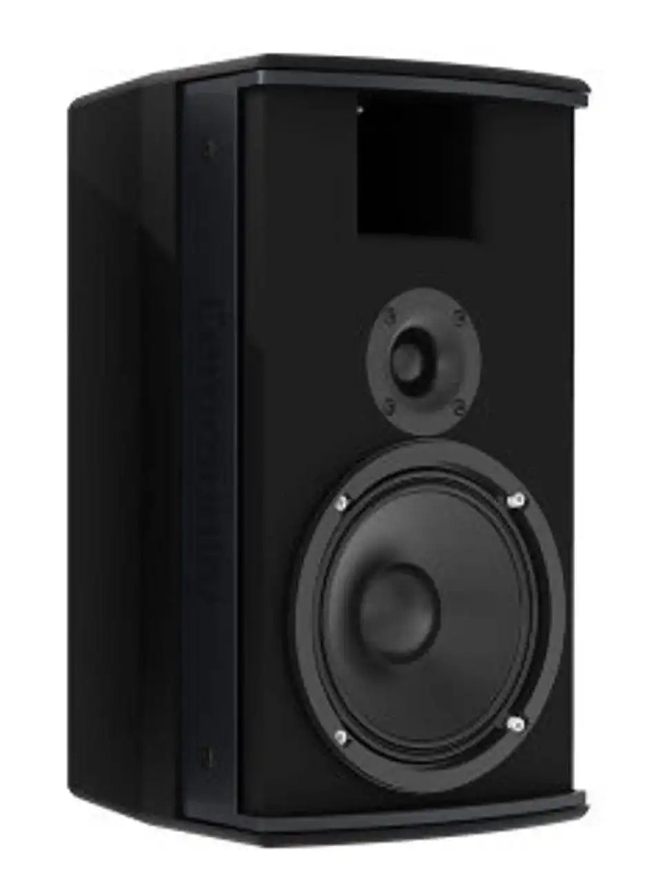 Biamp Community IC6-1062/00 High Output 6.5-Inch 2-Way 100 X 100 Indoor Speaker (Black) - 911.1003.900 Speakers Biamp