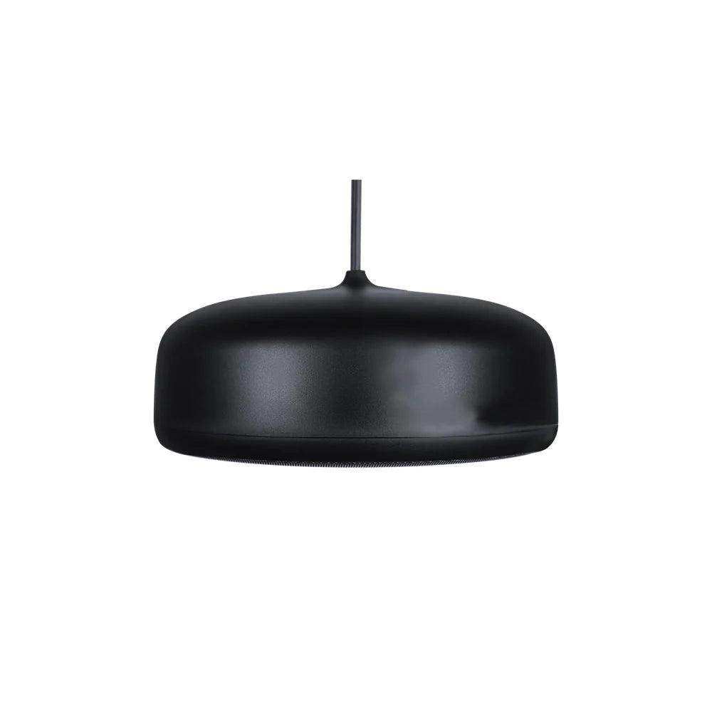 Biamp Desono P6-SM Pendant, Indoor/Outdoor 6.5" Coaxial Loudspeaker, Sunshine Profile (Pair, Black) - 911.0923.900 Speakers Biamp