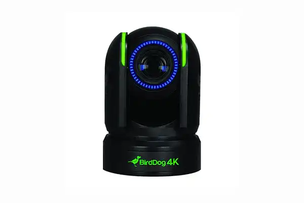 Birddog P4K 12x Full NDI PTZ Camera (Black) - BDP4K Production BirdDog