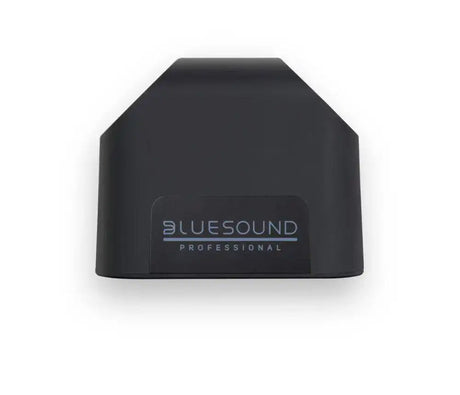 Bluesound BSP200-B PoE Compact Network Streaming Speaker (Black) Speakers Bluesound Professional
