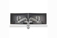Chief Kx Desk Mnt Dual 2L Arms Slv - KXD220S Video Chief