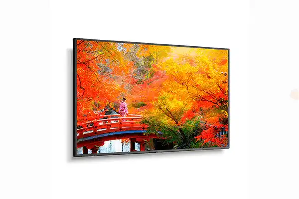 Sharp 49" Wide Color Gamut Ultra High Definition Professional Display with PCAP touch - MA491-PT Displays Sharp