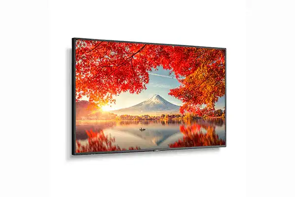 Sharp 55" Wide Color Gamut Ultra High Definition Professional Display - MA551 Displays Sharp