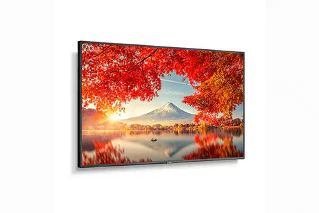 Sharp 55" Wide Color Gamut Ultra High Definition Professional Display - MA551-IR Displays Sharp
