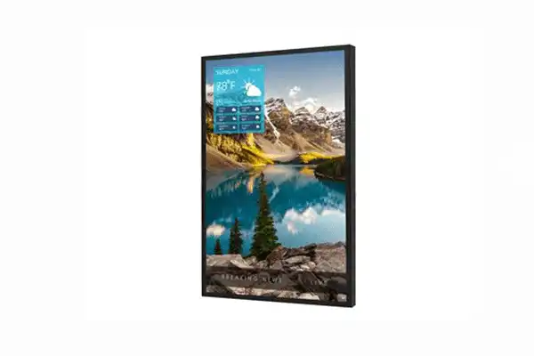 Peerless-AV 65" Class Full HD Xtreme High Bright Outdoor Commercial Display Gen3 - XHB653 Displays Peerless-AV