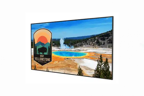 Planar SLM65 Simplicity M Series - 65" LED-backlit LCD display - 4K - 998-2765-00 Displays Planar