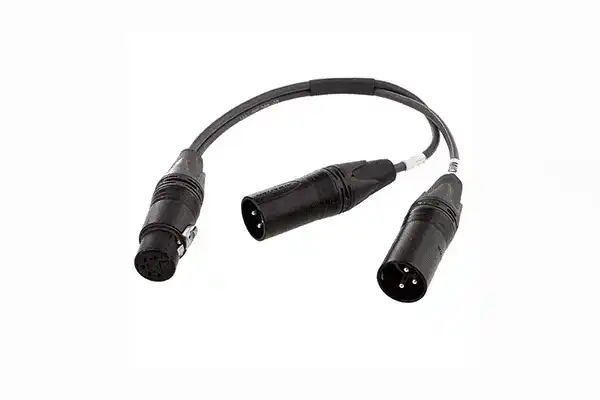 Sennheiser ACS5 5-pin XLR Female to Dual XLR Male Y Cable for MKH418S and MKE44P Microphones - USACS5 Microphones Sennheiser