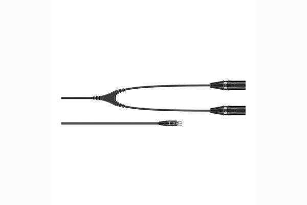 Sennheiser CA 6042 XLR Y cable 5-pin mini XLR to 2x 3 pin XLR - 506216 Microphones Sennheiser