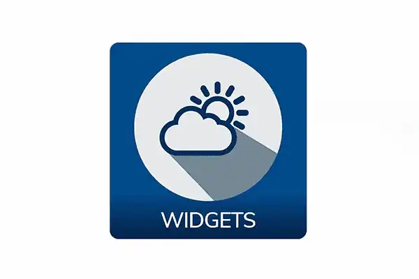 SpinetiX 3-year license for WIDGETS - SX-SE-DSOS-3Y-WIDGETS Digital Signage SpinetiX