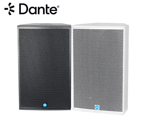 Renkus-Heinz TA112S-RD 12" Subwoofer, powered with RHAON & Dante Redundant, SA625-RD Amp Module