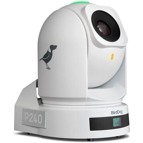 BirdDog P240 40X Full NDI PTZ 3-Camera Bundle (White) - BDP240BUNDLE-WWW