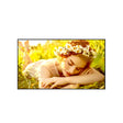 LG 43UL5Q-M – 43" 3840 x 2160 UHD LED Backlit LCD Large Format Monitor Pro LED Displays LG Electronics