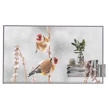 LG 55EW5P-M – 55" 1920x1080 FHD Transparent OLED Large Format Monitor Specialty Displays LG Electronics