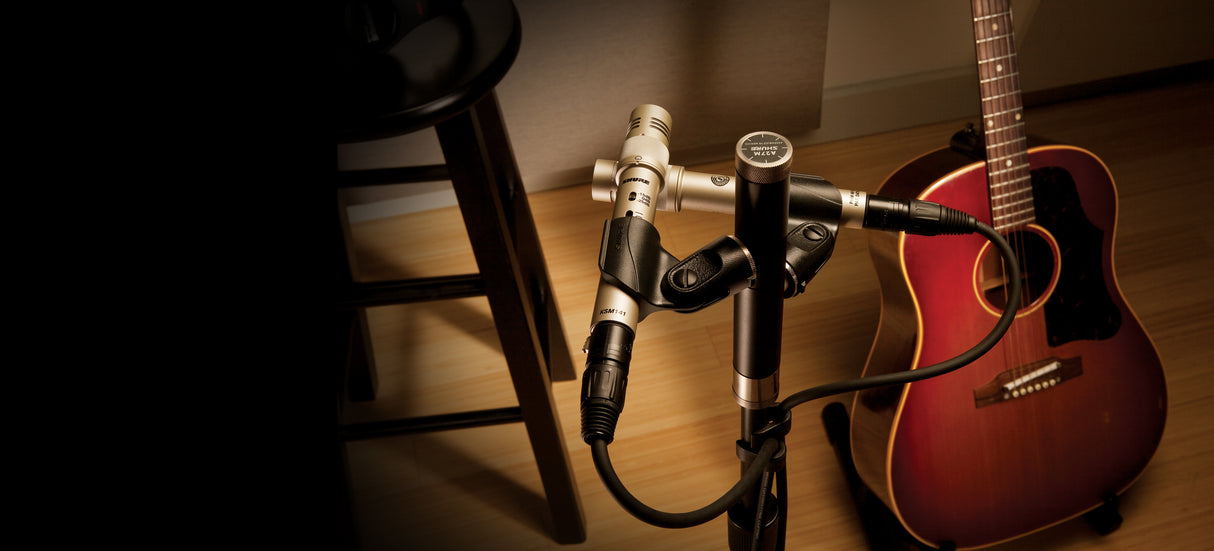 Shure KSM141/SL Dual-Pattern (Cardioid/Omnidirectional) Studio Condenser Microphone (Champagne), Foam Windscreen and Carrying Case Microphones Shure