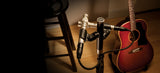 Shure KSM141/SL Dual-Pattern (Cardioid/Omnidirectional) Studio Condenser Microphone (Champagne), Foam Windscreen and Carrying Case Microphones Shure